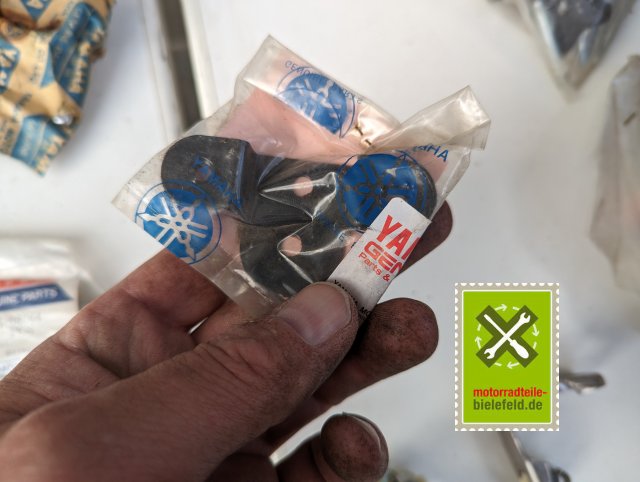 PXL_20240528_161657517